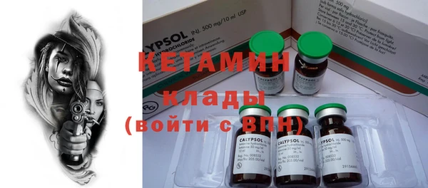 крисы Новозыбков