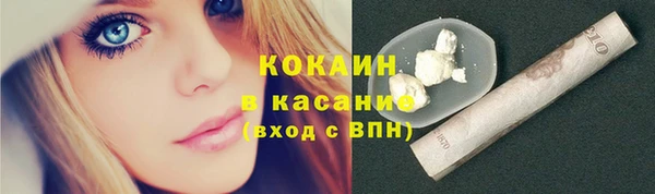 крисы Новозыбков
