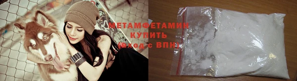 крисы Новозыбков