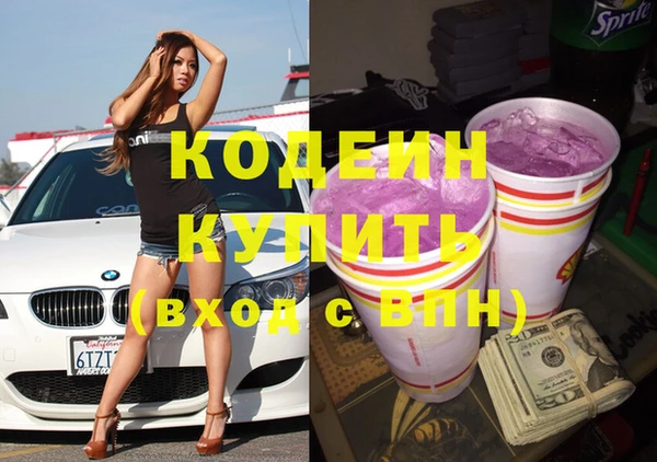 крисы Новозыбков