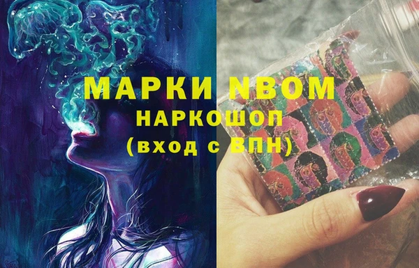 крисы Новозыбков