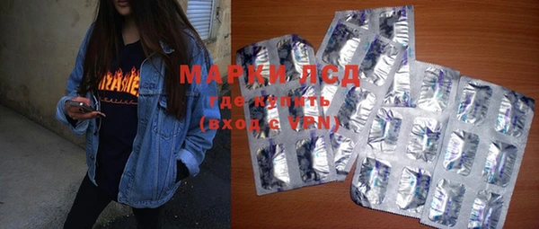 крисы Новозыбков