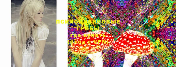 крисы Новозыбков