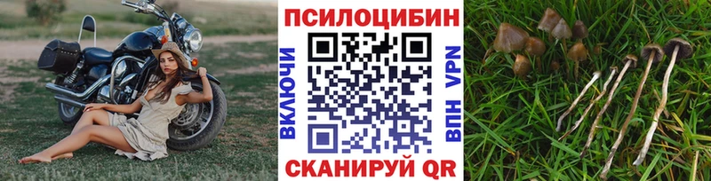 купить закладку  Нижний Тагил  Галлюциногенные грибы ЛСД 