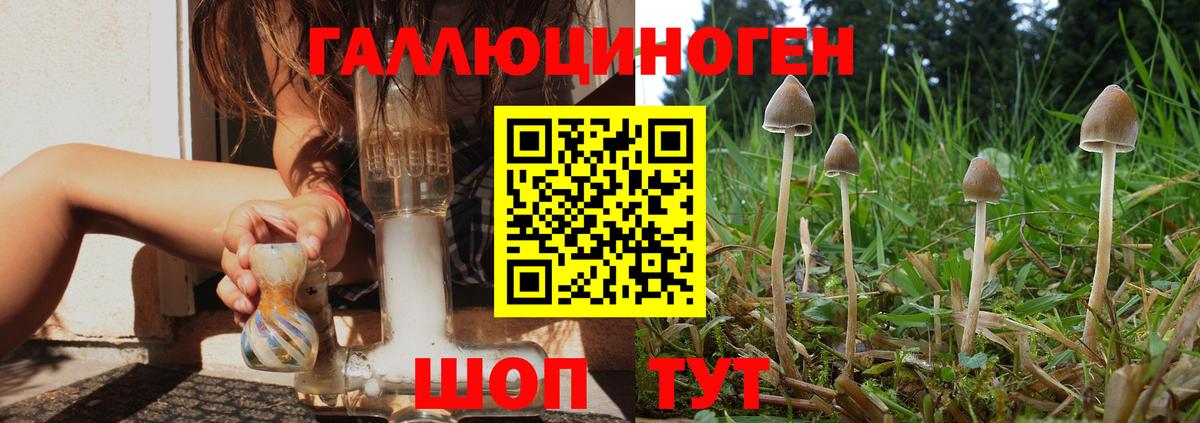 Нижний Тагил  Псилоцибиновые грибы MAGIC MUSHROOMS  Вход с VPN  Галлюциногенные грибы Psilocybine cubensis 